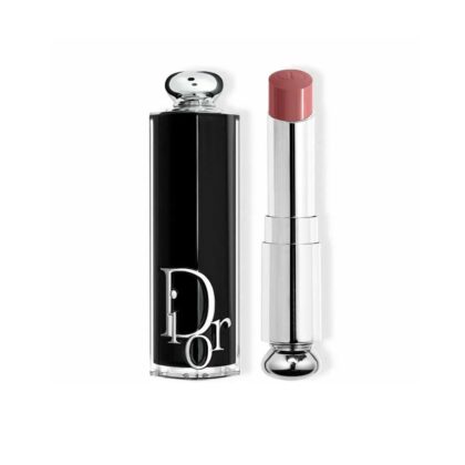 Dior addict lip stick 521